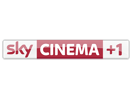 Sky Cinema +1 (Germany)
